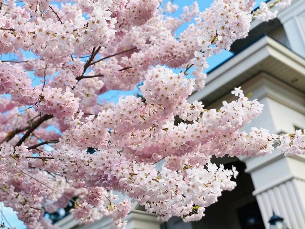 Vancouver Shangrila House リッチモンド エクステリア 写真